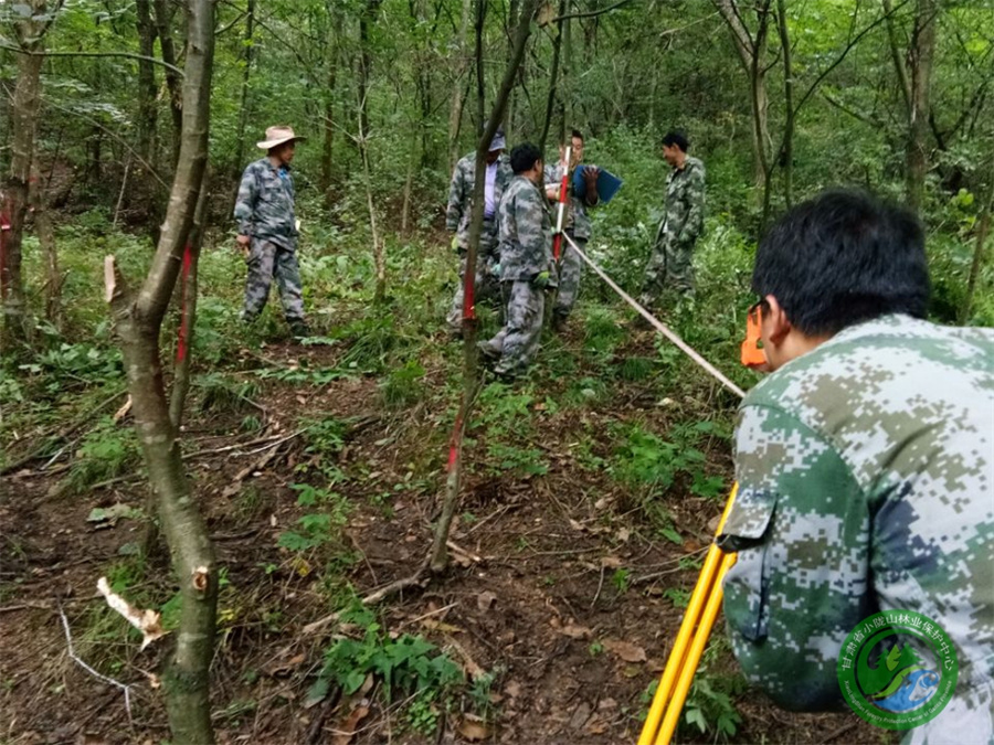 森林资源、野生动植物资源、湿地资源等生态工程调查规划设计